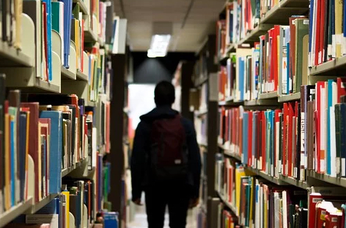 A boy standing between the bookshelves in the library.